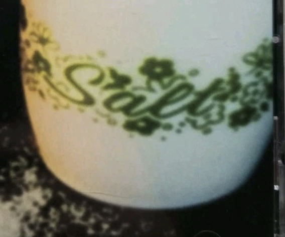 Salt Shaker